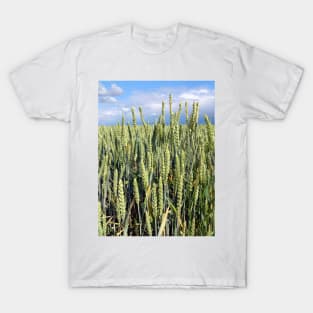 wheat T-Shirt